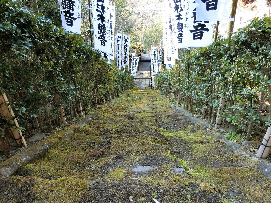 Stairs of Moss-镰仓市必去景点