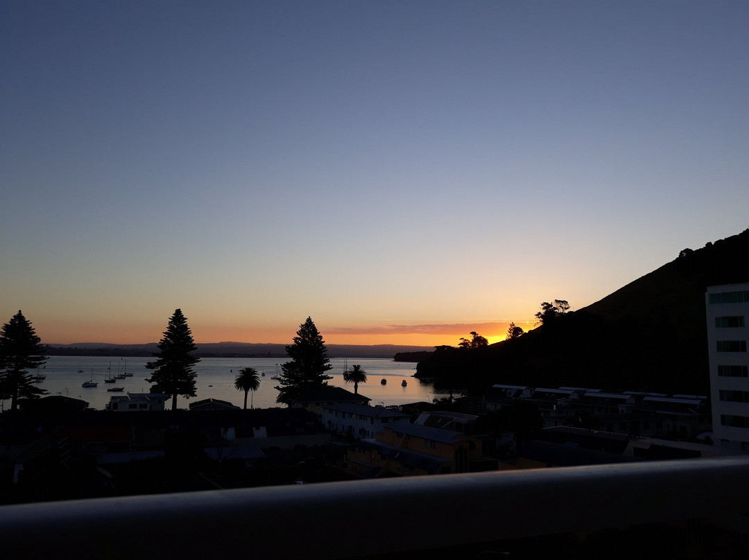 The Atrium Apartments主图