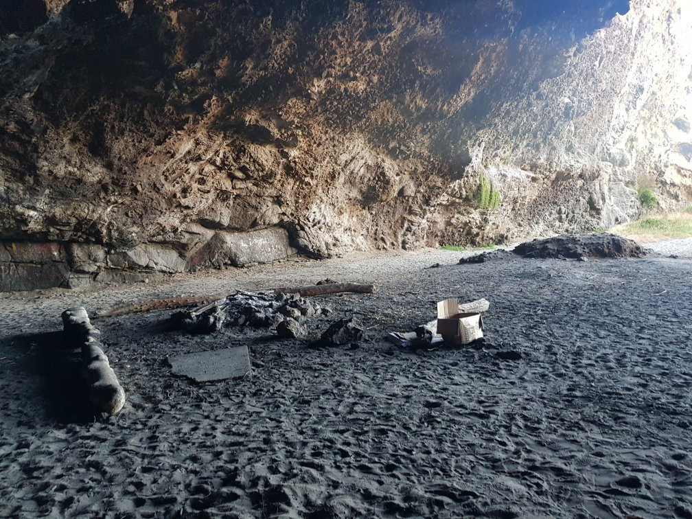 Long Beach-但尼丁必去景点