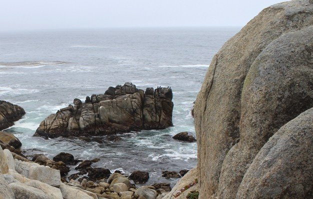 Pescadero Point-圆石滩必去景点