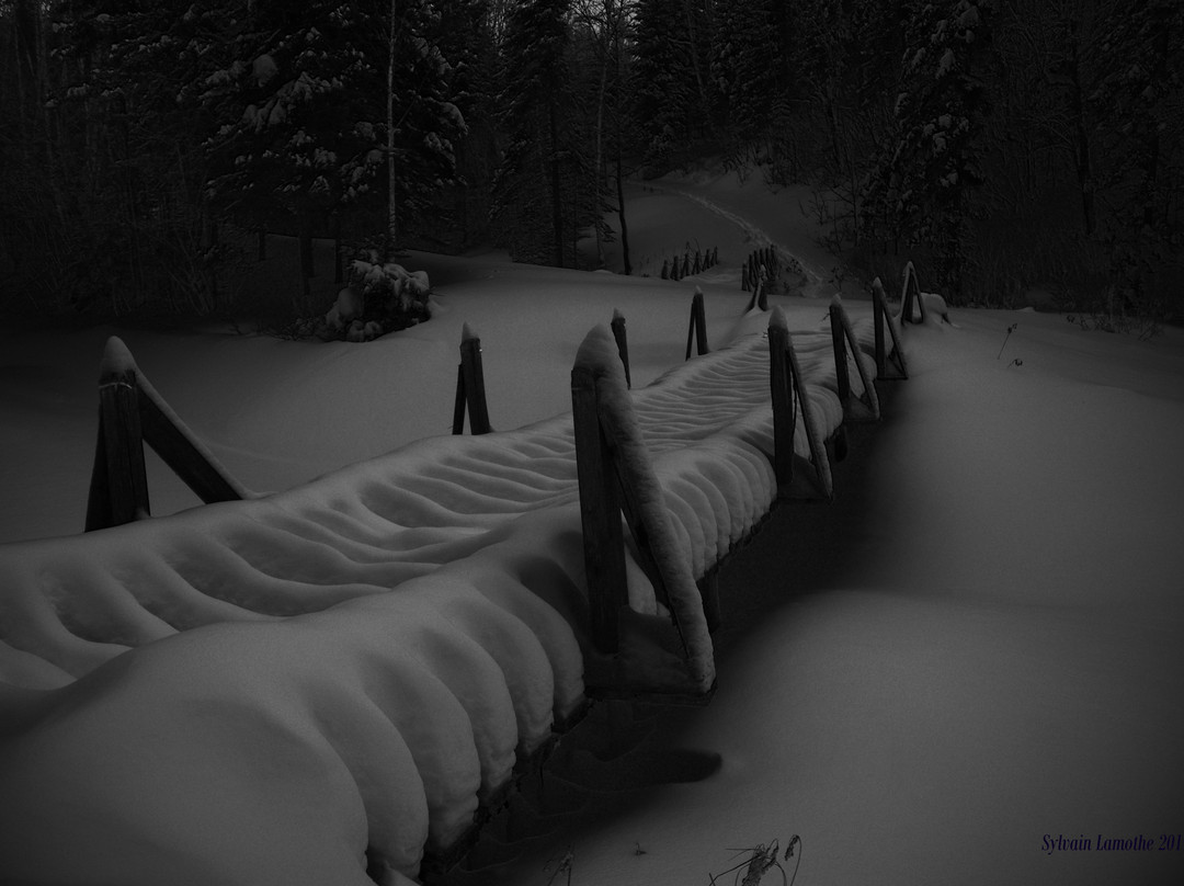 Chalet les Berges d'Alma B&B主图