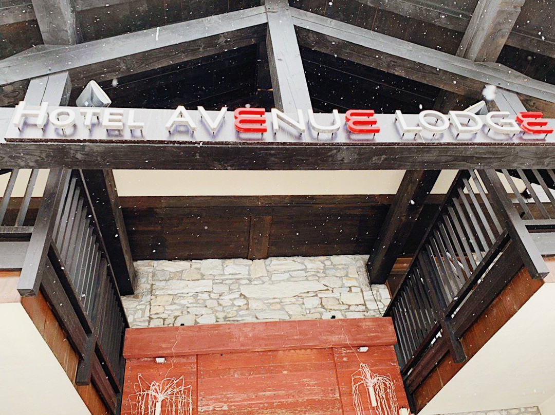 Avenue Lodge Hotel主图
