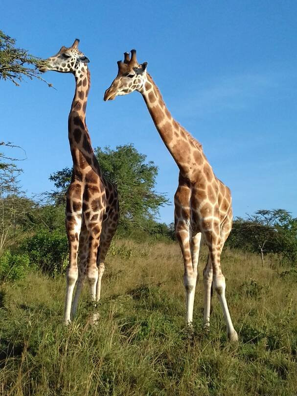 Katsam Adventures-吉佳利必去景点