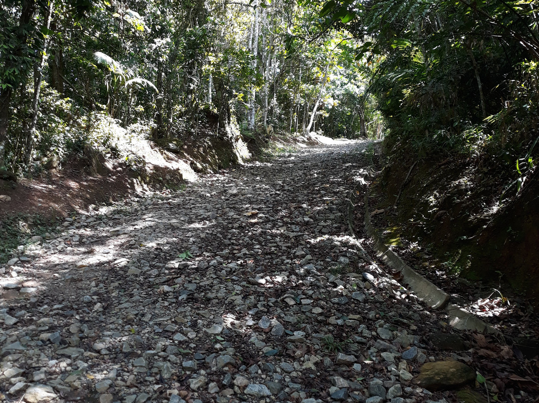 Parque Natural Municipal do Atalaia-Itajai必去景点