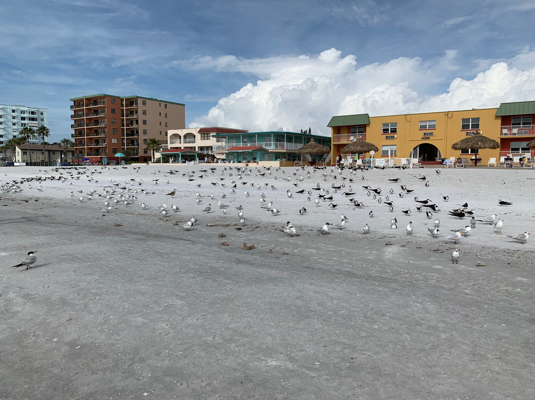 Island House Resort主图