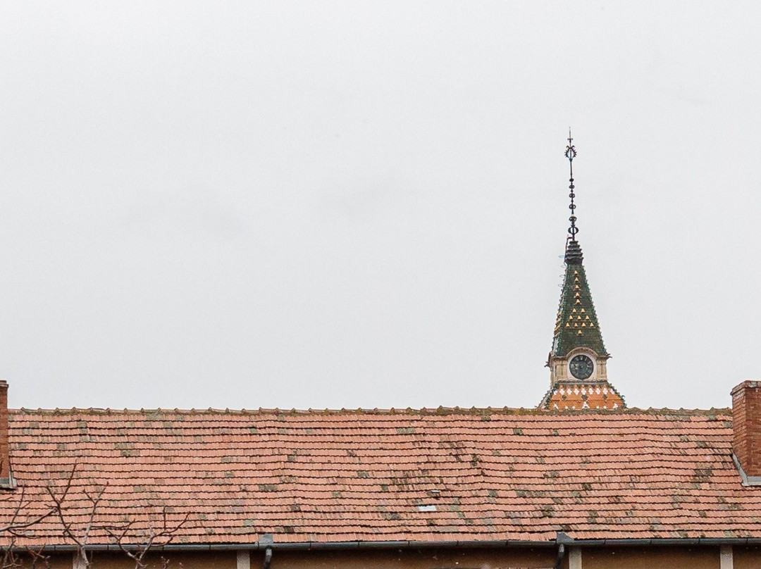 Pensiunea Select Central主图