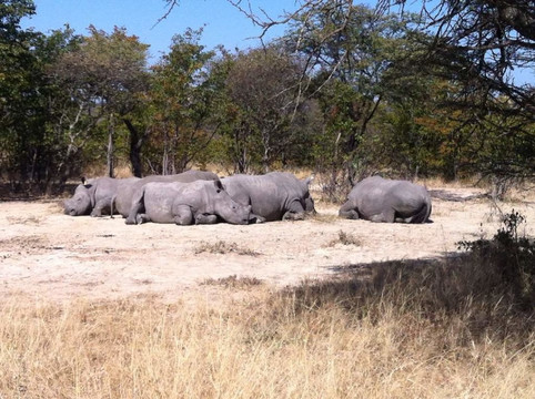 Matebele Royal Safaris-布拉瓦约必去景点