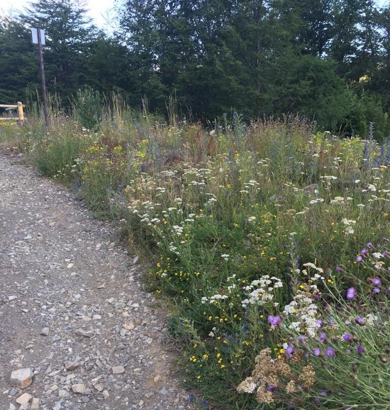 Newenpullu, Hostal y Cabanas主图