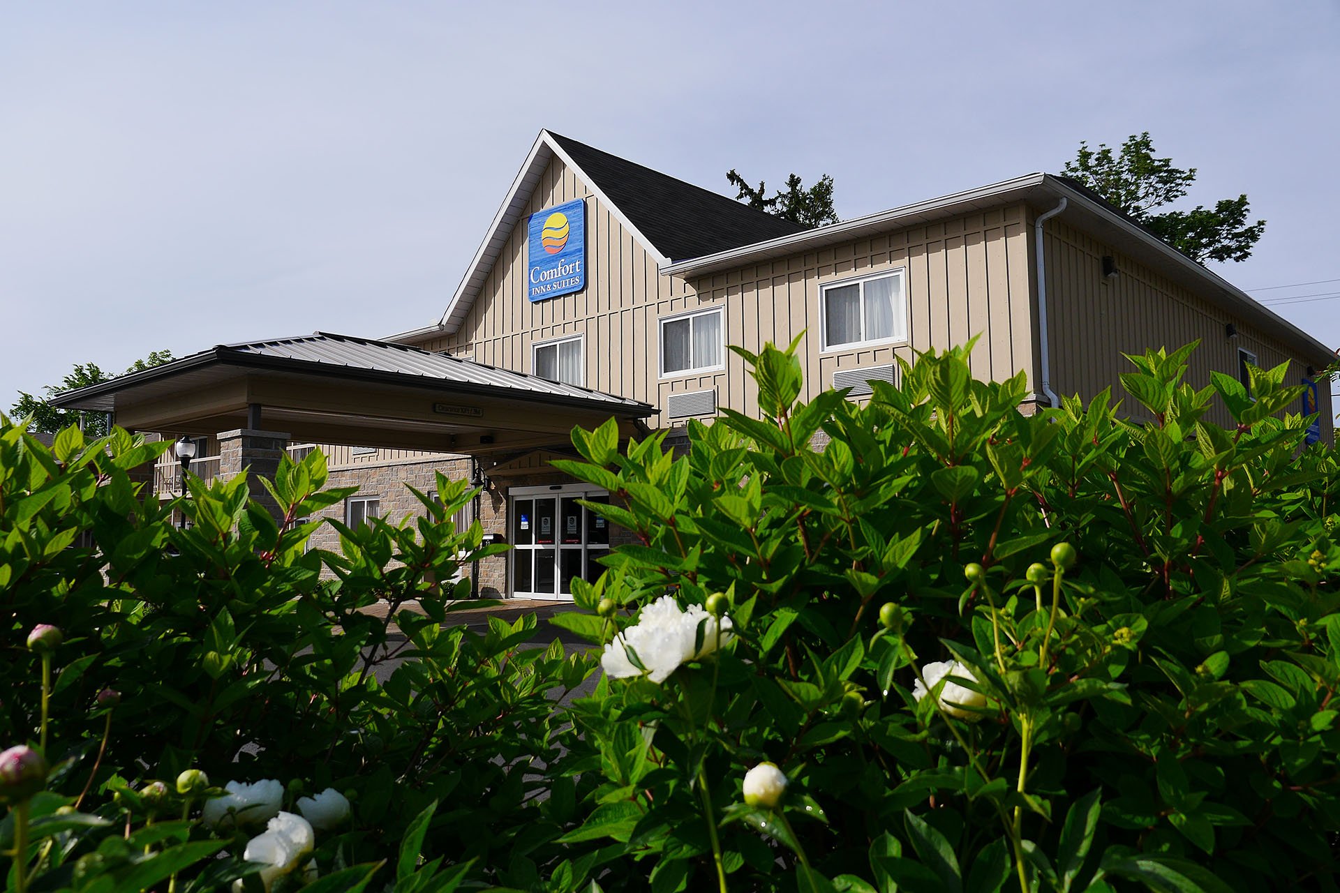 Comfort Inn & Suites Thousand Islands Harbour District-浴室