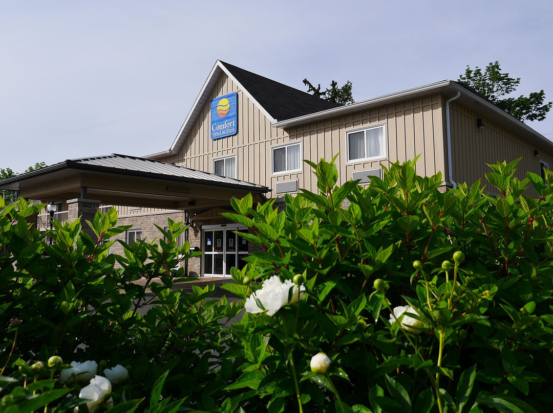 Comfort Inn & Suites Thousand Islands Harbour District主图