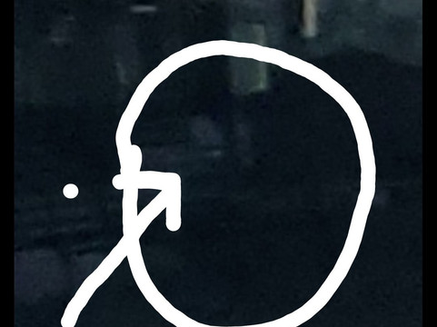 Afterlife Tours-圣奥古斯丁必去景点