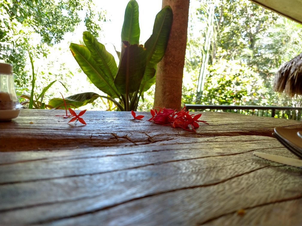 卡萨哈姆艾卡宾馆主图