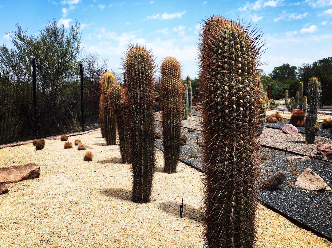 Quilapilun Parque Explorador-圣地亚哥必去景点