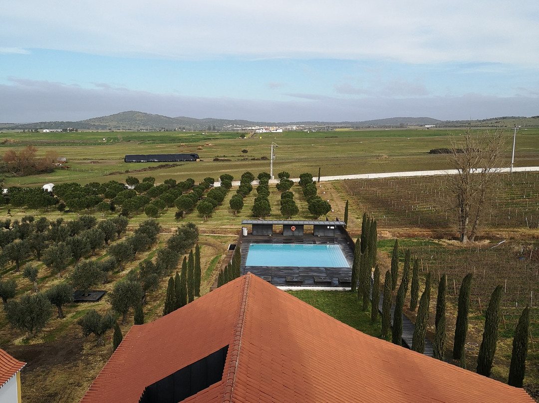 Torre de Palma Wine Hotel主图