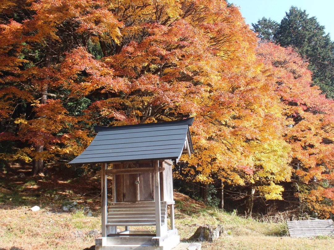 Kinkoji Temple-福知山市必去景点