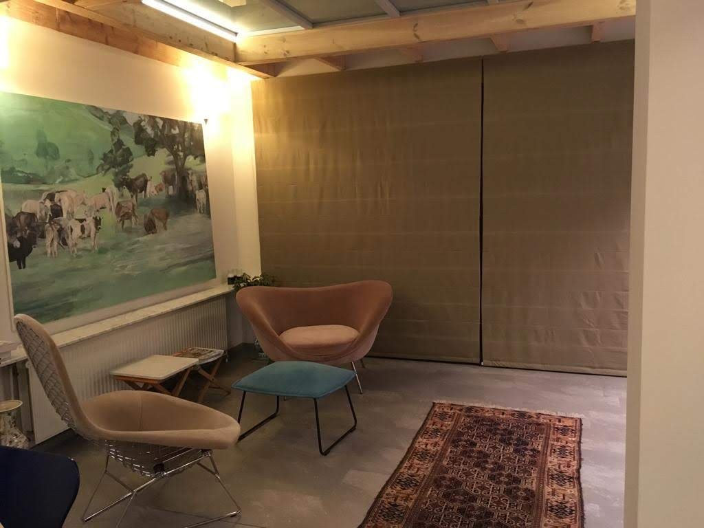 B&B Ridderspoor主图
