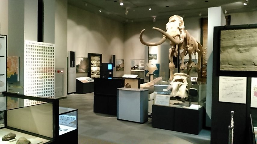 Natural History Museum and Institute-千叶市必去景点