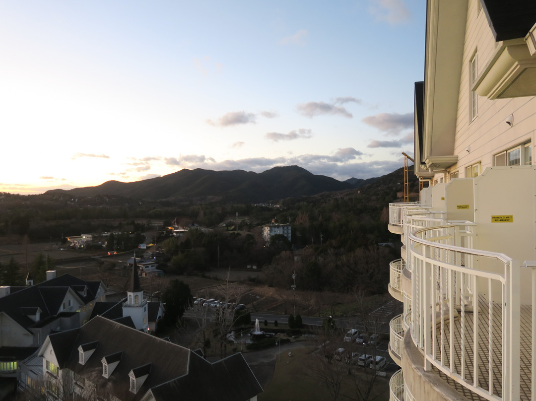 Hotel Green Plaza Tojoko主图