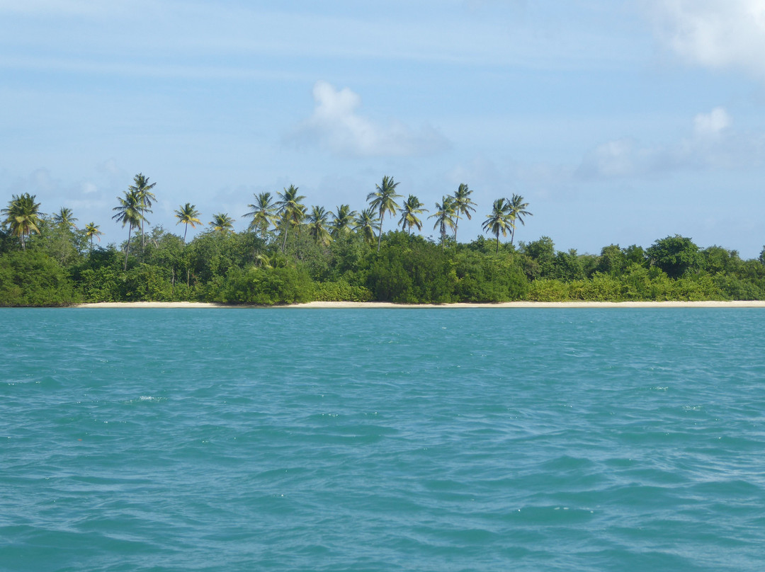 Fish Tobago Guesthouse主图