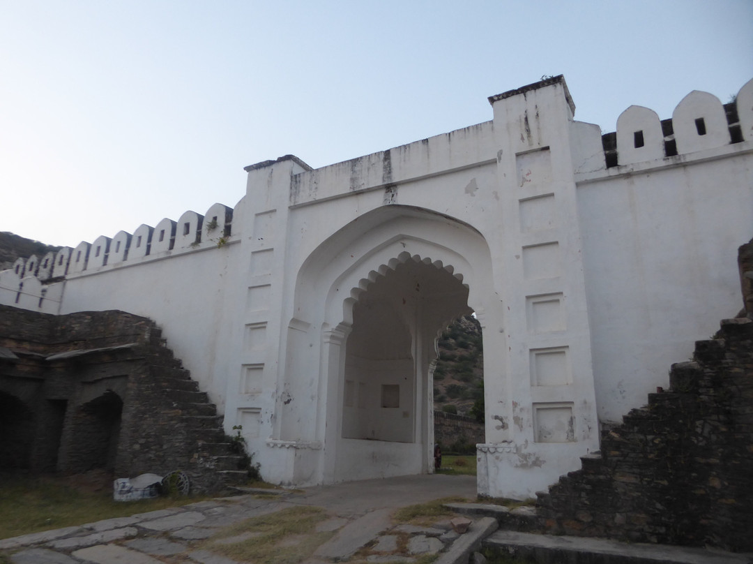 Hotel Rajmahal Palace主图