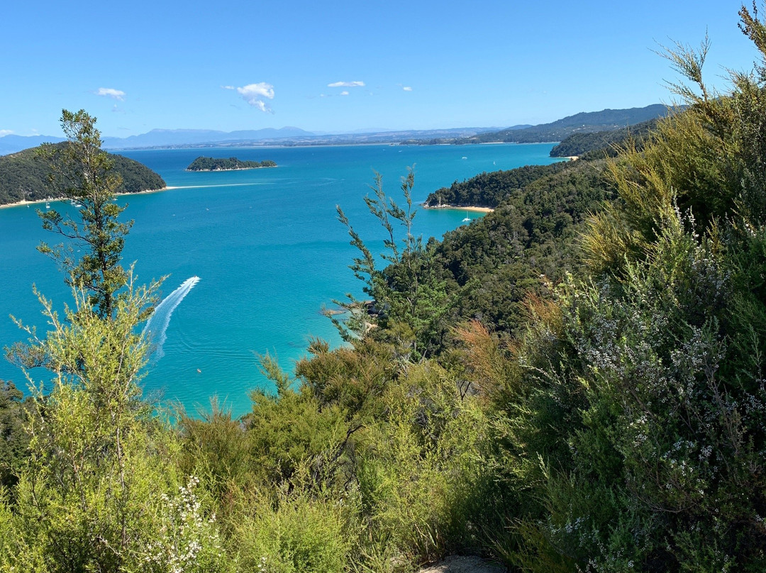 Abel Tasman AquaTaxi景点图片