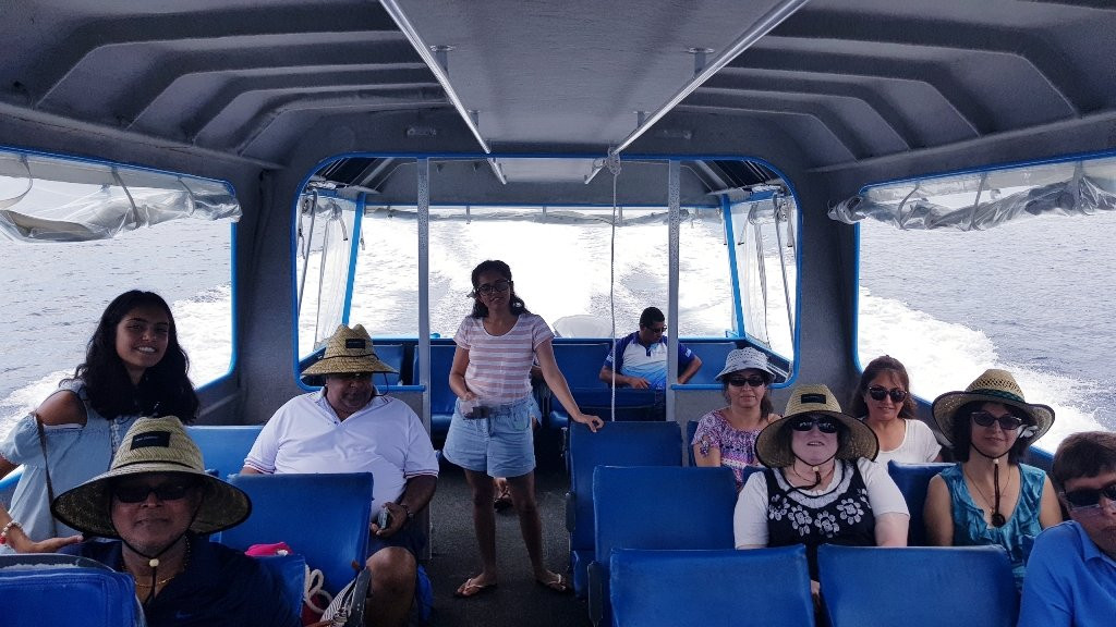 Mamanuca Express-纳迪市必去景点