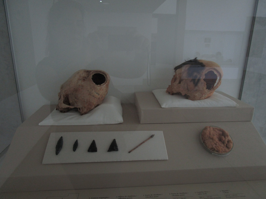 Museo De Sitio Julio C Tello De Paracas-帕拉卡斯必去景点