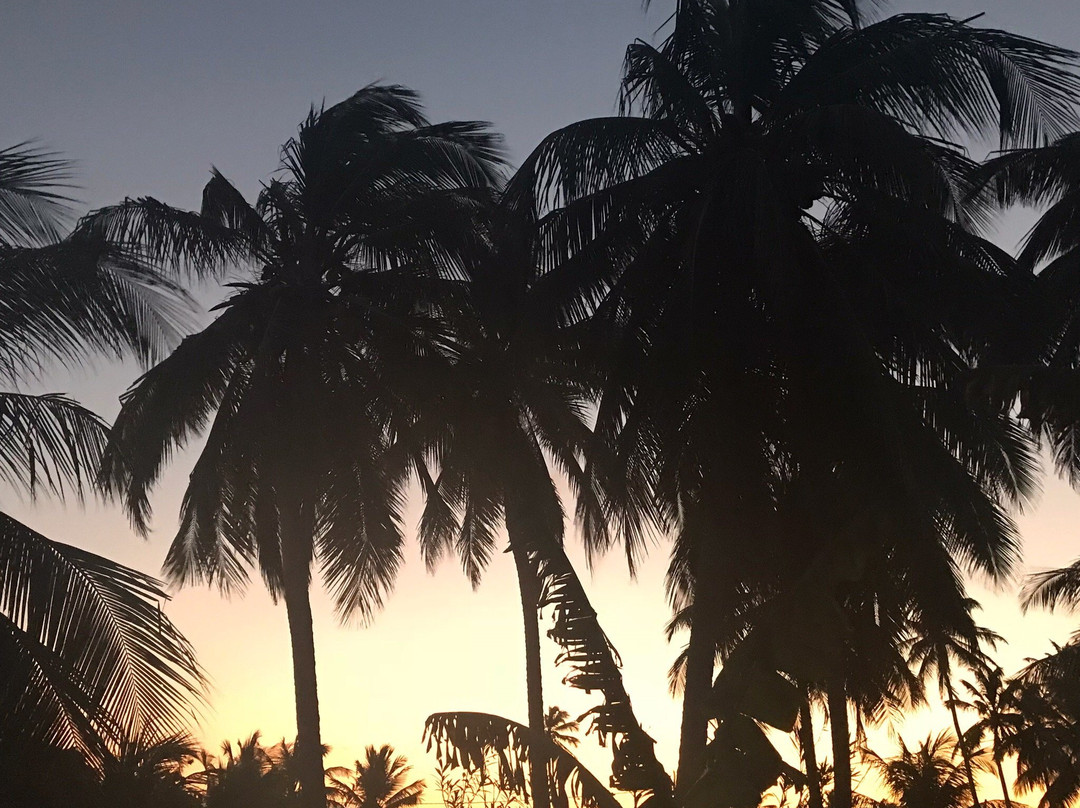 Pousada Guajiru Kite Safari主图