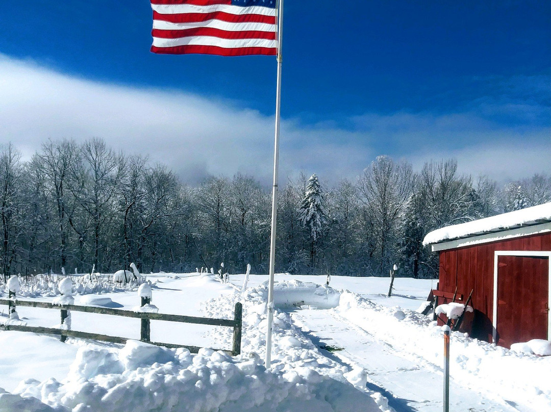 Shearer Hill Farm B&B主图