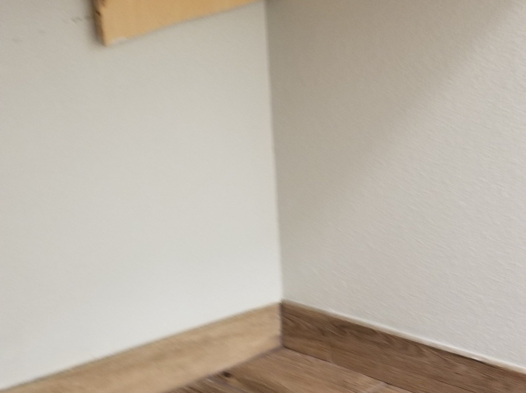 Homewood Suites by Hilton Champaign-Urbana主图