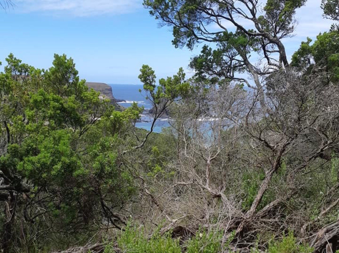 The Coastal Walk景点图片