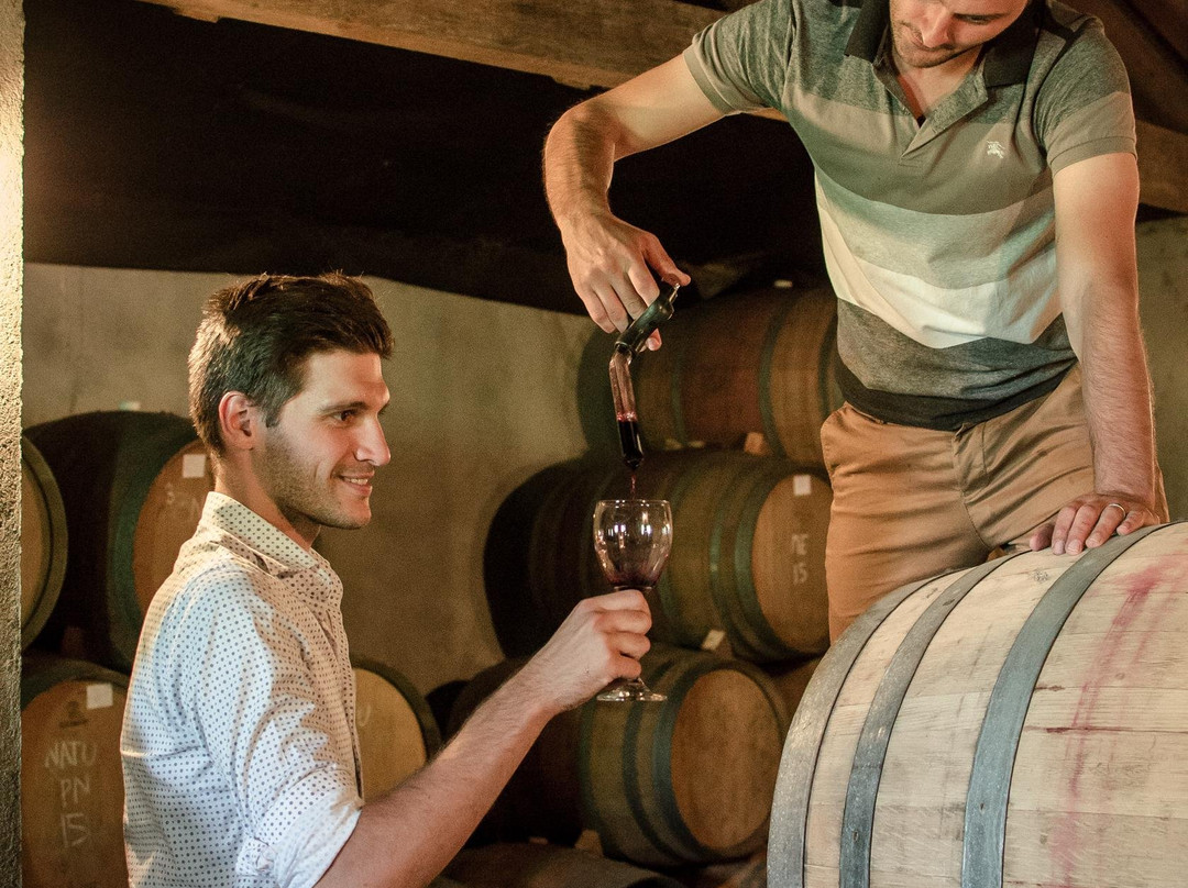 Hotel Viña Chillàn主图