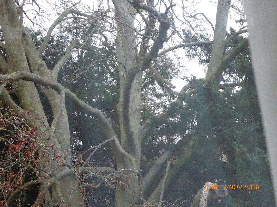 The Winchester Hotel & Spa主图