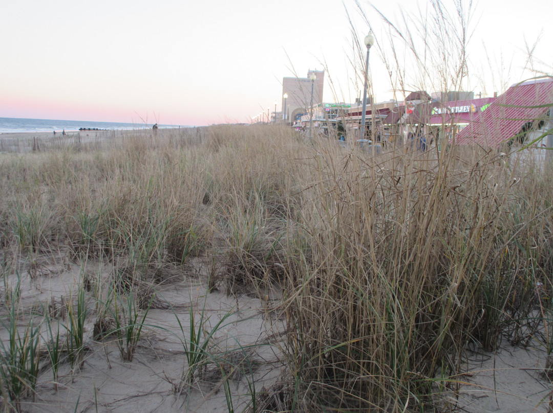 Dune Nature Park-里霍博斯比奇必去景点