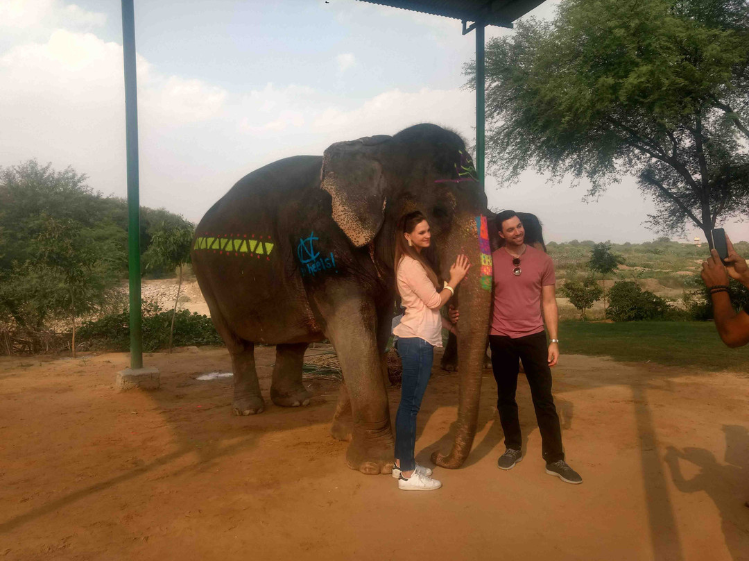 Elefuncity-Amer必去景点