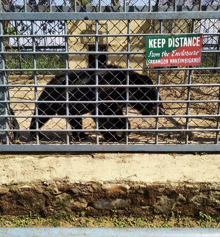 Manipur Zoological Gardens-因帕尔必去景点