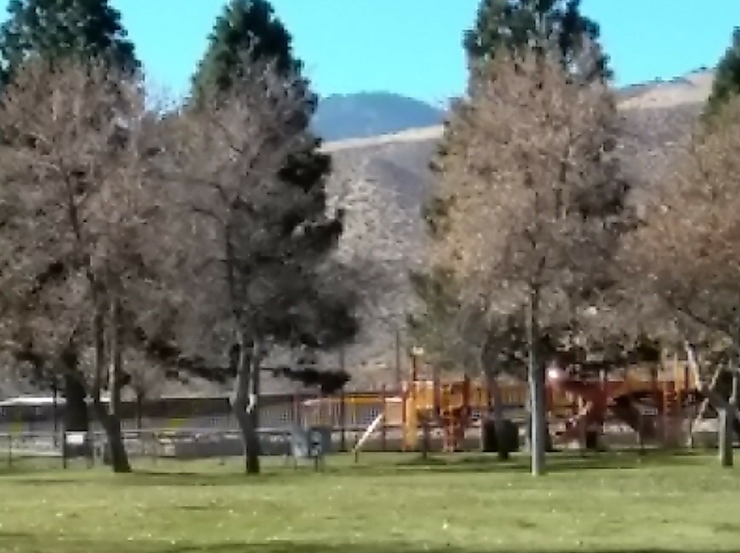 Fuji Park-卡森城必去景点