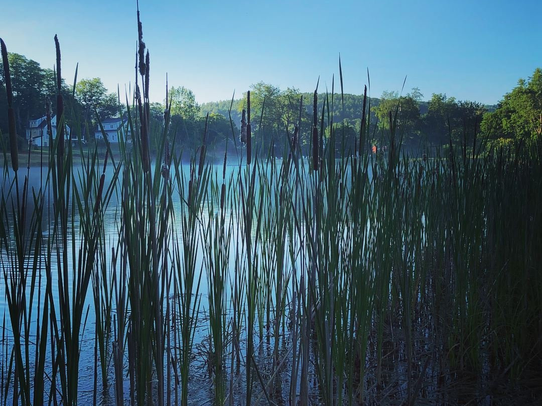 Kedron Valley Inn主图