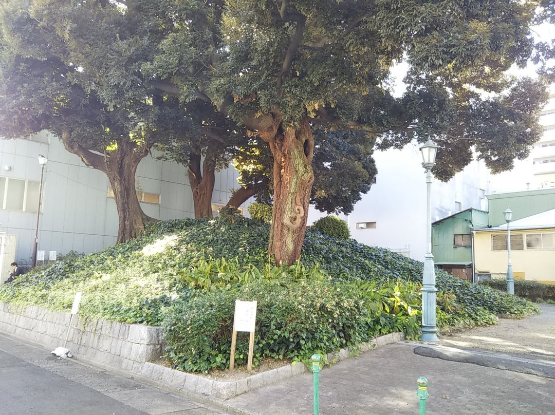 Nagonoyama Ancient Tomb-Osu必去景点