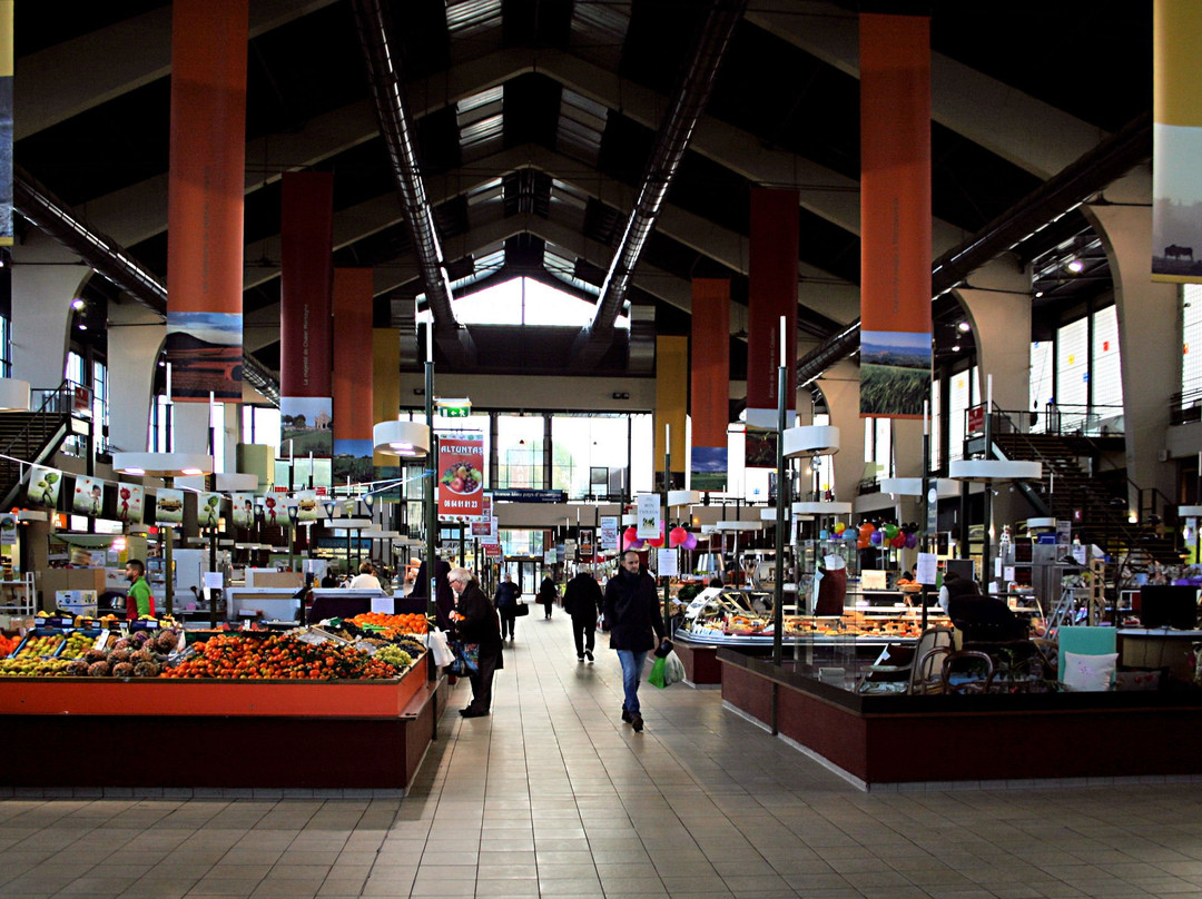 维希旅游景点-Grand Marche de Vichy