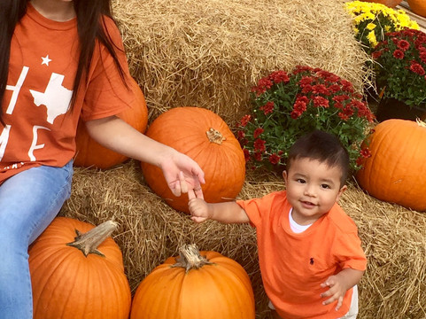 Barton Hill Farms-巴斯特罗普必去景点