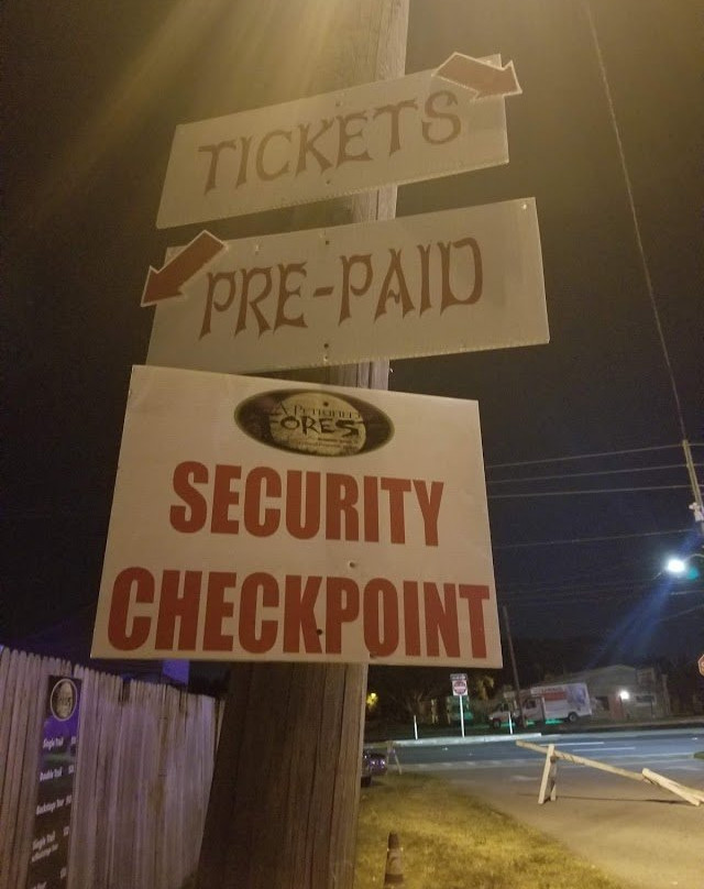 A Petrified Forest-阿尔塔蒙特斯普林斯必去景点