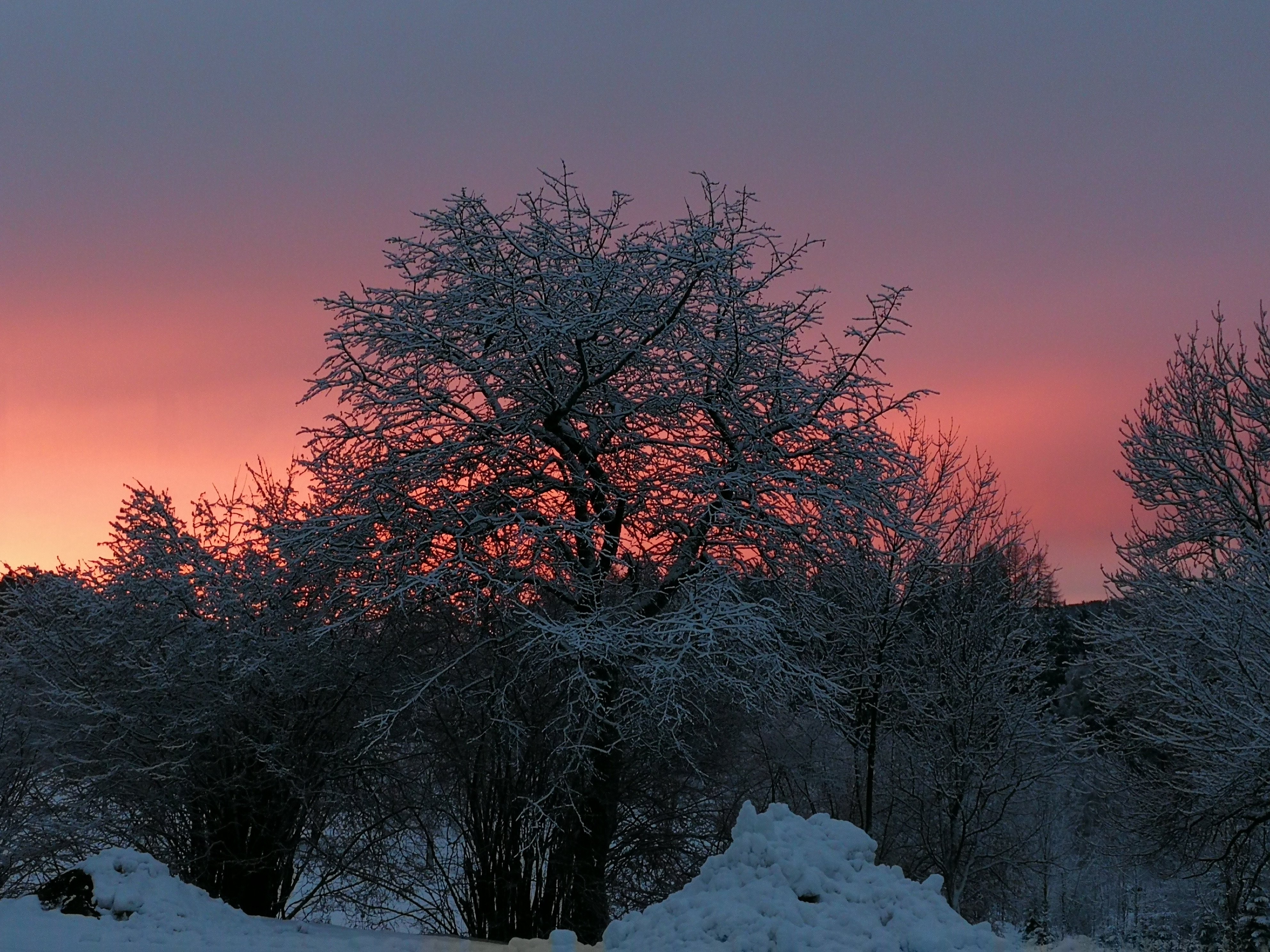 Ferienwohnungen Fischerhaus-官方
