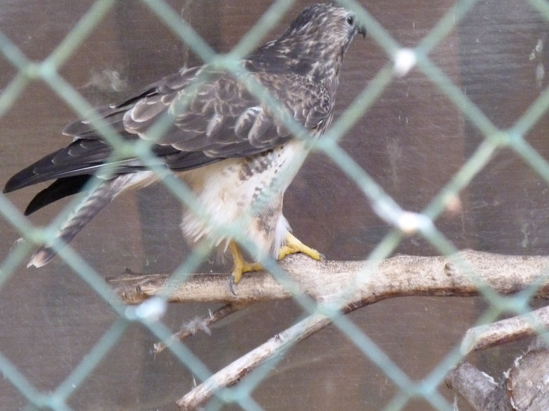 Sandstein- und Märchenhöhle-Walldorf必去景点