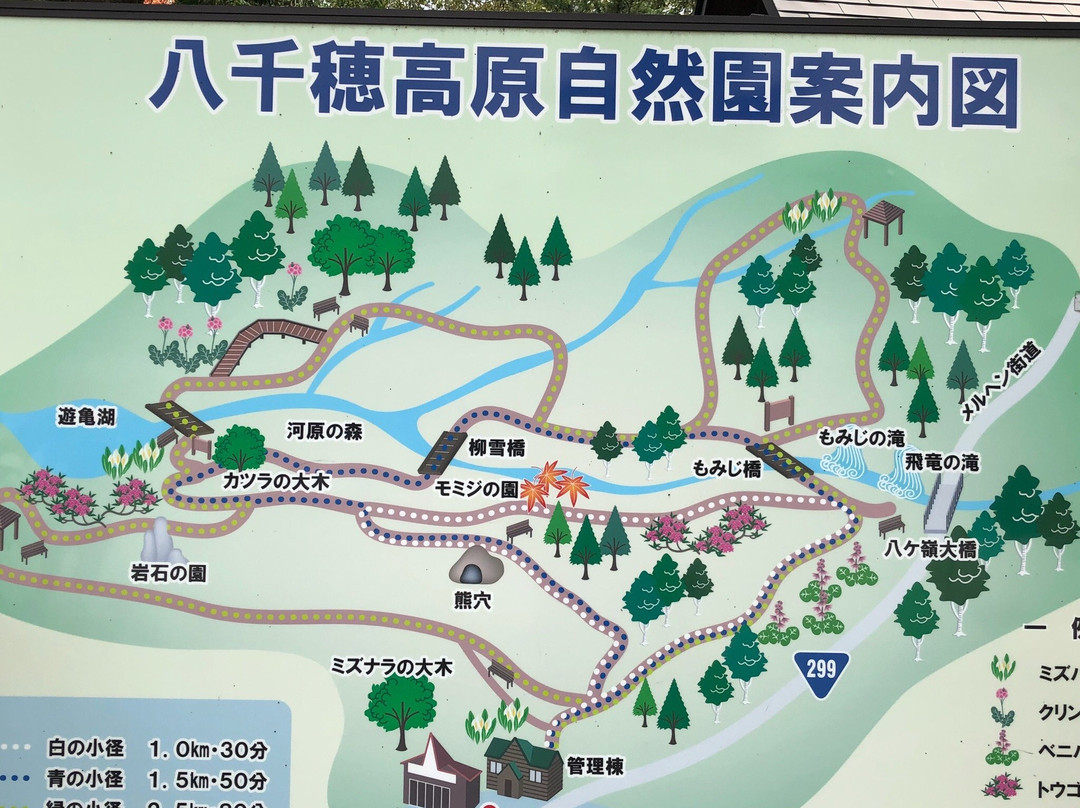 Yachiho Highland Natural Garden-佐久穗町必去景点
