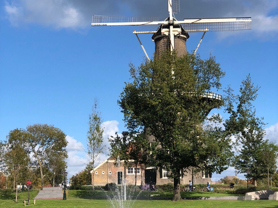 Sloepdelen-乌特勒支必去景点