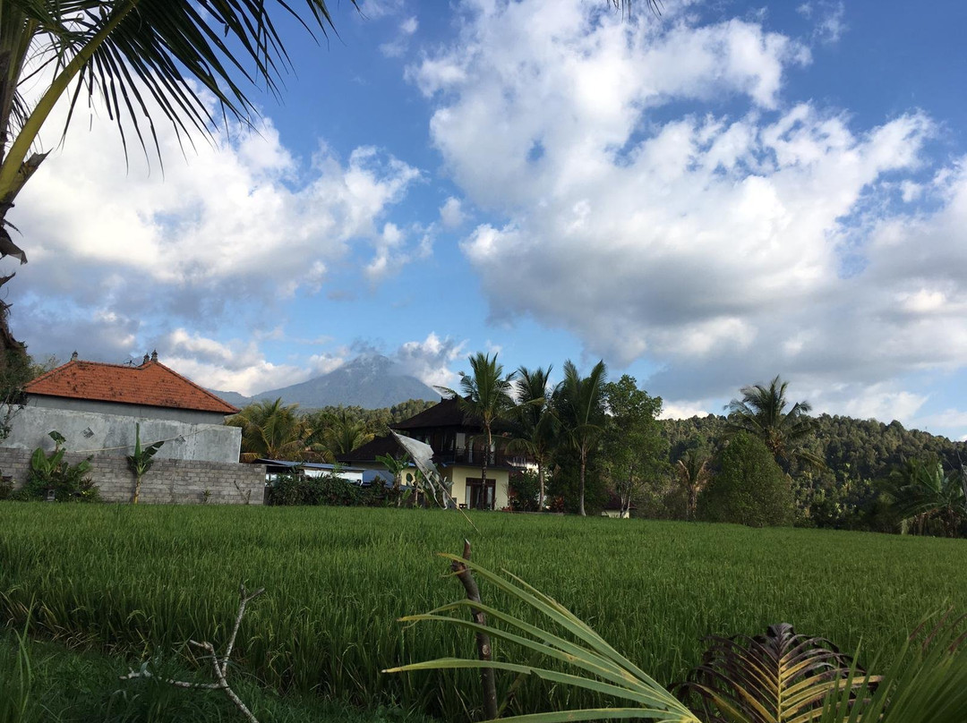 Adhitya Dharma Guest House主图