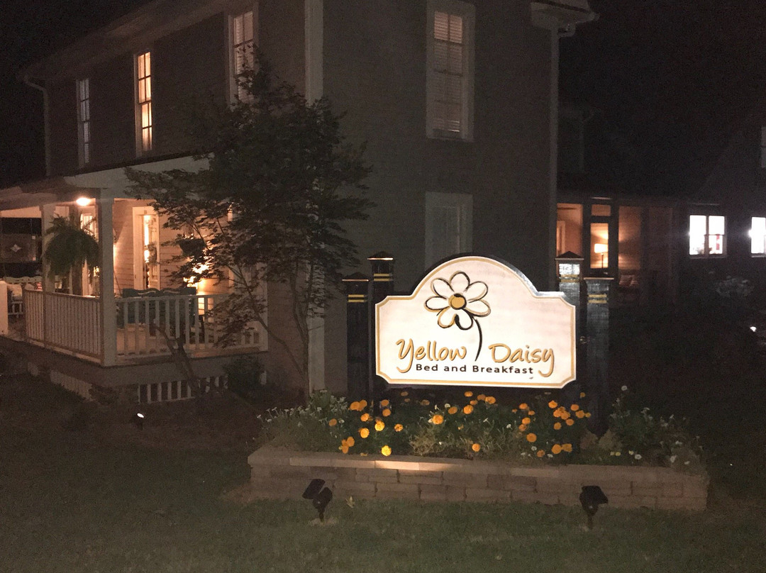 Yellow Daisy Bed and Breakfast