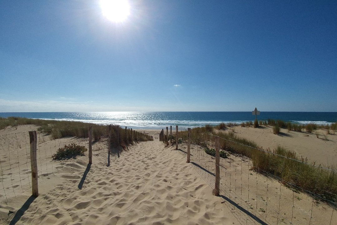 Plage de l'Horizon景点图片