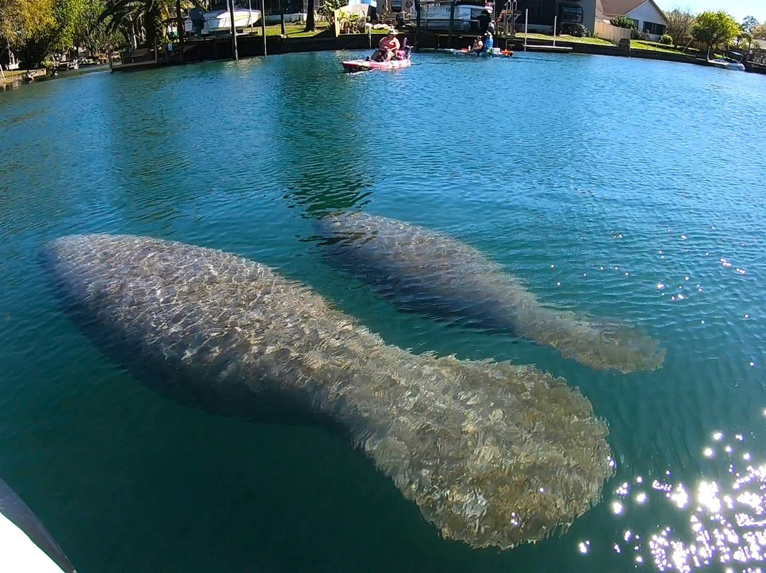 Adventure Dive Center-奥尔巴尼必去景点